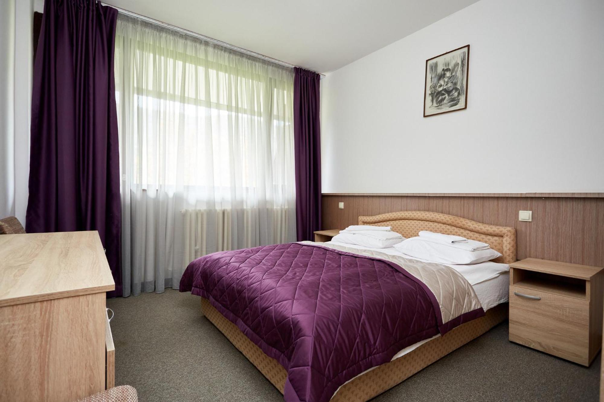 Hotel Moravica Soko Banja Cameră foto